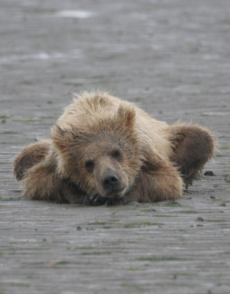 Naptime