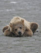 Naptime