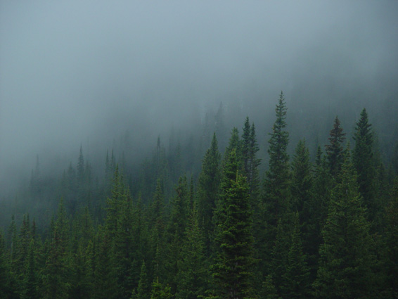 Misty Mountain