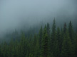Misty Mountain