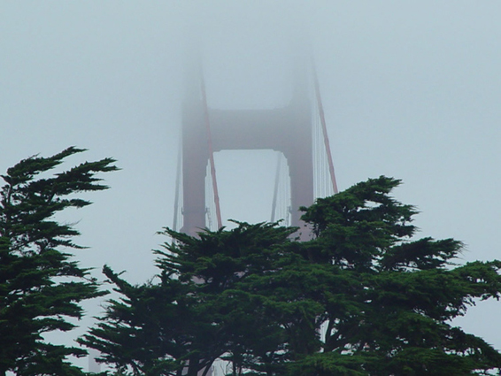 Golden Gate Behind Trees