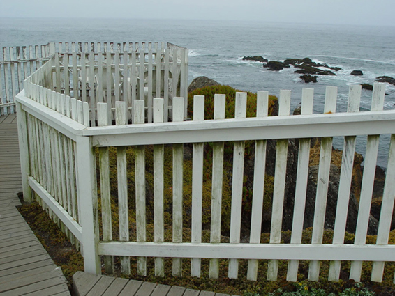 Pigeon Point View