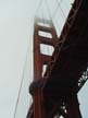 Under the Golden Gate